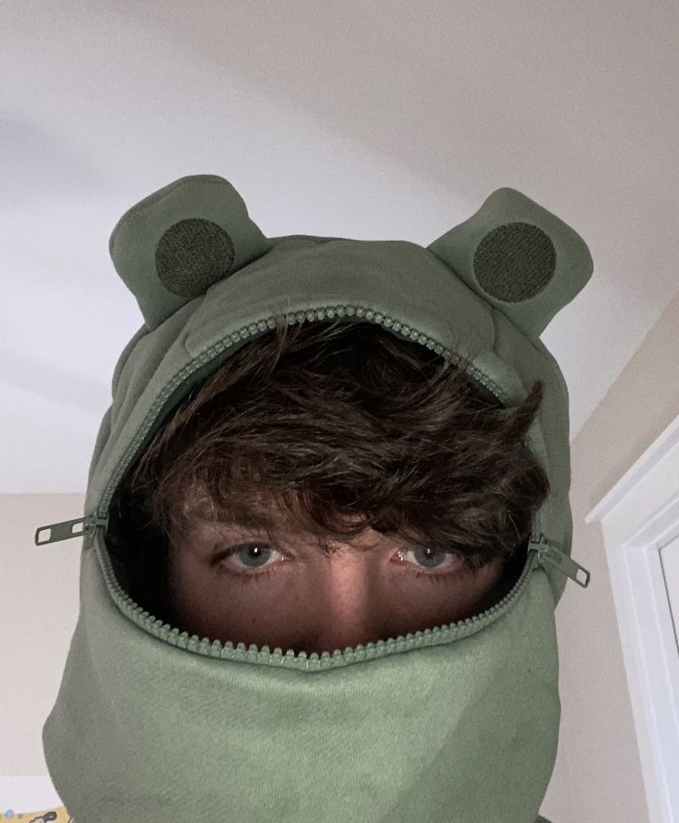 Featured image of post Karl Frog Hoodie Fanart
